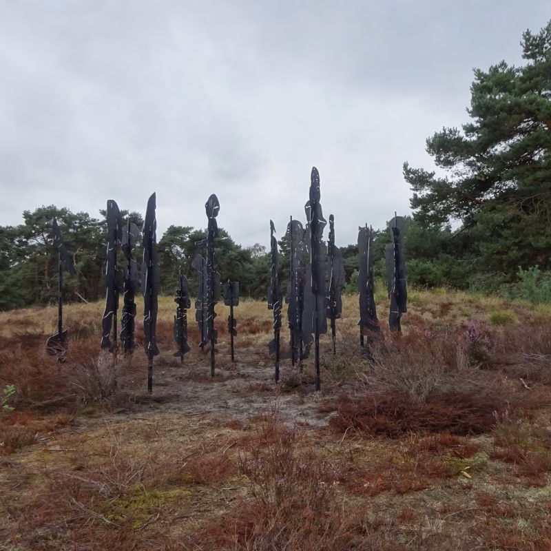 Boshoverheide
